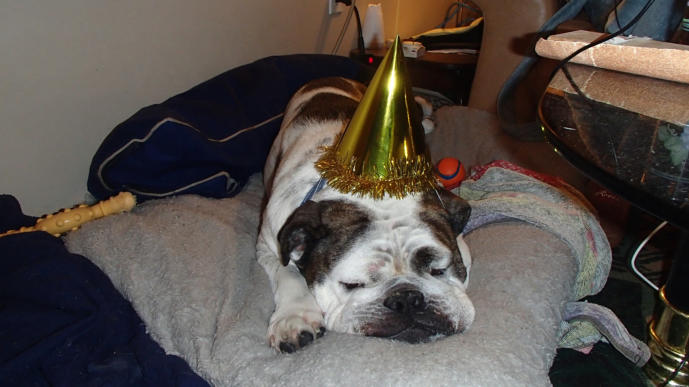 Happy 5th Birthday to Brutus #WeLoveBrutus